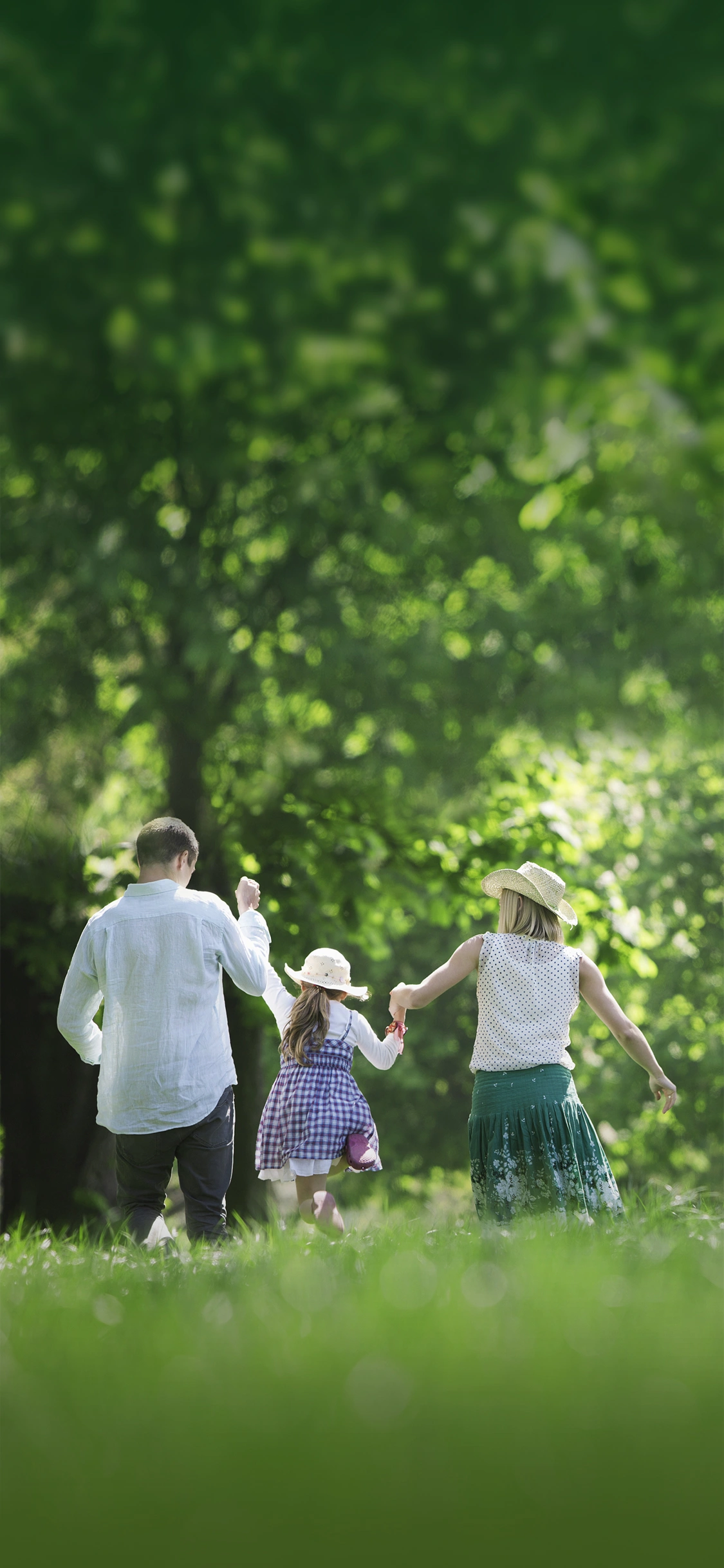 How to Match Ingredients to Different Supplement Formats