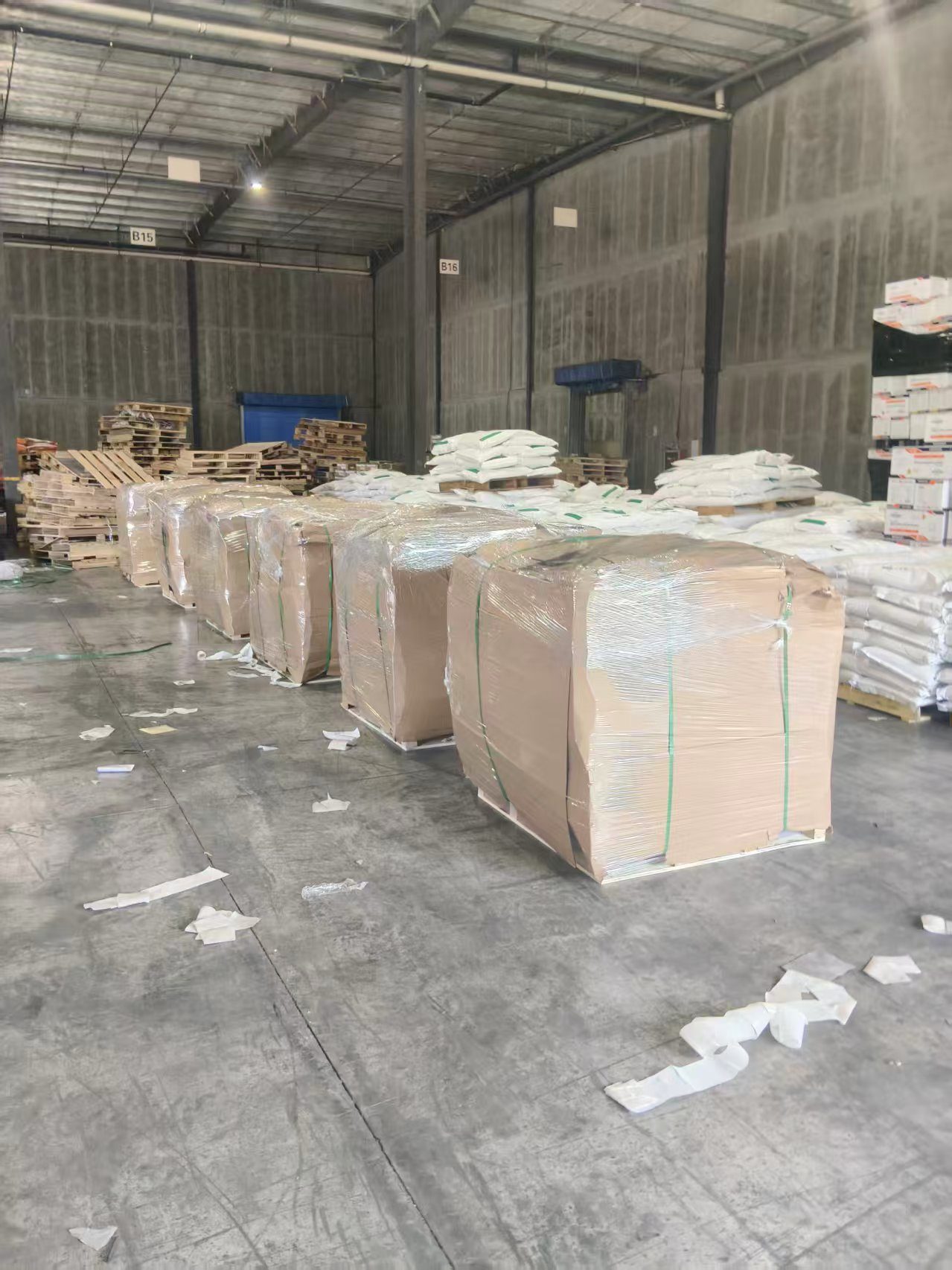 Warehouse-ready pallets lined up before loading for a Europe-bound order.