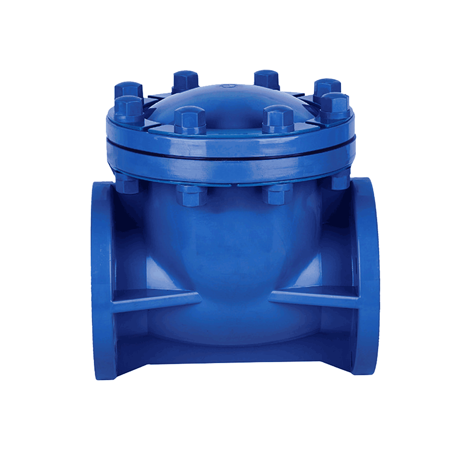 Swing Check Valve